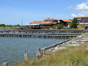 Charente-Maritime: nettoyer les parcs à huîtres pour réduire la pollution plastique