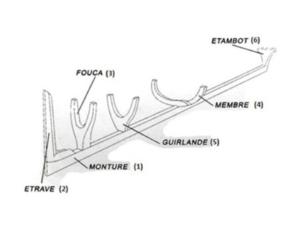 L'ossature, robuste et tout en finesse de la yole L'ossature, robuste et tout en finesse de la yole
