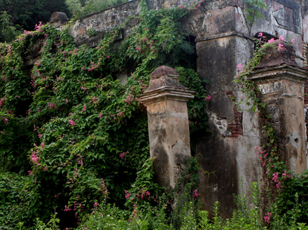 Pour remonter le temps et admirer les pétroglyphes des Indiens Taïnos, qui peuplaient l'île autrefois, empruntez le célèbre Reef Bay Hike
