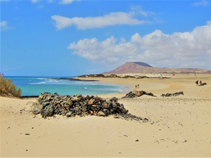 5 bonnes raisons de choisir Fuerteventura pour vos prochaines vacances