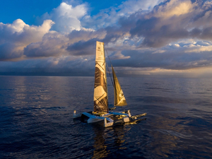 Le cauchemar du Pot au noir