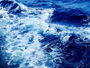 Protection de la haute mer: la France salue un « accord historique » à l'ONU