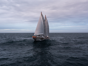 La goélette Tara va scruter les écosystèmes côtiers européens