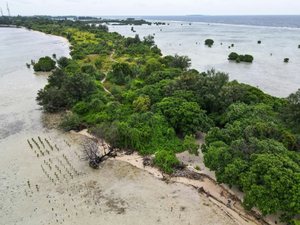 « Justice climatique » : une petite île indonésienne menacée se mesure au géant mondial du ciment