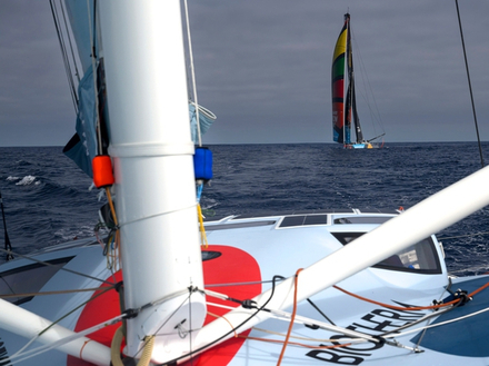 Les concurrents de The Ocean Race naviguent à vue après trois semaines de course ! -  Les concurrents de The Ocean Race naviguent à vue après trois semaines de course ! -