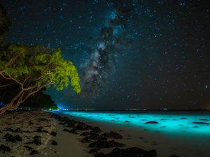 Trois expériences incontournables aux Maldives