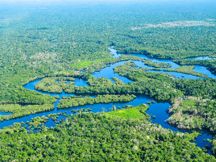 Si vous souhaitez explorer la forêt amazonienne et vous aventurer au fin fond de celle-ci, il vous faudra naviguer. 