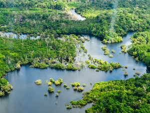 Brésil : à la rencontre des fleuves Rio Solimões et Rio Negro