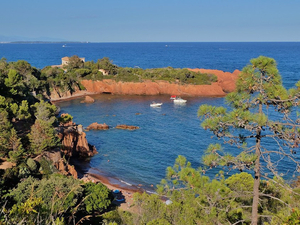 Ferme aquacole sur la Côte d'Azur: avis défavorable après l'enquête publique