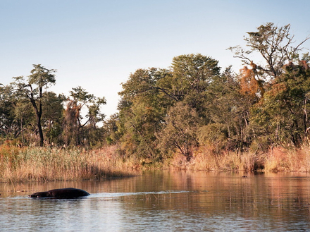 Le site se trouve à la frontière commune entre la Namibie, la Zambie et le Botswana. Le site se trouve à la frontière commune entre la Namibie, la Zambie et le Botswana.