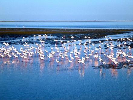 Walvis bay ou « la baie des baleines » en afrikaans.  Walvis bay ou « la baie des baleines » en afrikaans.