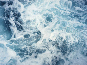 Adoption prévue en juin du traité de protection de la haute mer