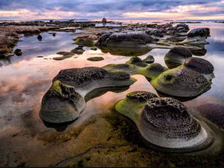 La zone intertidale rocheuse est composée de schiste et de roche en nids d'abeilles.