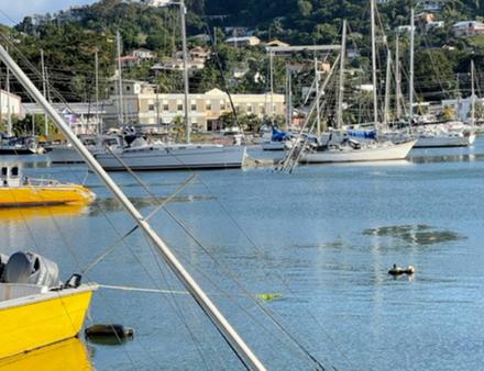 Bateau coulé... À l'expert d'évaluer sa valeur. Nautisme Article