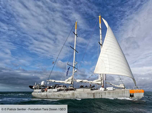 Tara Europa : le laboratoire flottant à la conquête des côtes européennes