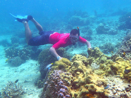 La vari&eacute;t&eacute; des esp&egrave;ces et la biodiversit&eacute; marine font de cette r&eacute;gion un site d'exception. 