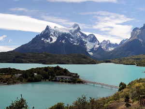 La Patagonie sous-marine, l'autre poumon vert de la planète à protéger