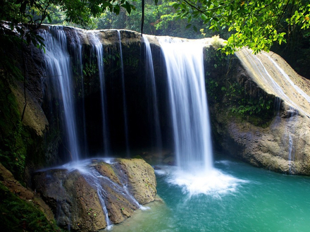 Au milieu de la jungle, le parcours pour se rendre à la cascade de Whisper wave n'est pas des plus simples, cette cascade se mérite ! Au milieu de la jungle, le parcours pour se rendre à la cascade de Whisper wave n'est pas des plus simples, cette cascade se mérite !