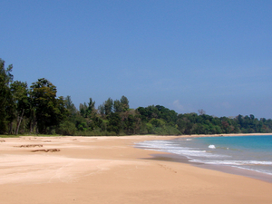 Little Andaman : petite île, grande découverte ! 