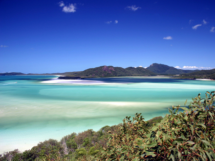 Cette plage de sable blanc sur l'île de Whitsunday est l'une des plus belles plages au monde. 