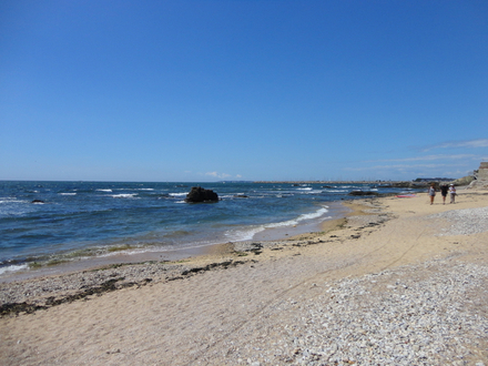 Dans la catégorie « commune », la ville de Pornichet en Loire Atlantique remporte le prix pour la préservation de la dune grise de Bonne Source. Dans la catégorie « commune », la ville de Pornichet en Loire Atlantique remporte le prix pour la préservation de la dune grise de Bonne Source.