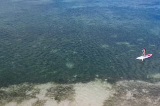 Top 5 des meilleurs spots de paddle de l'île Maurice