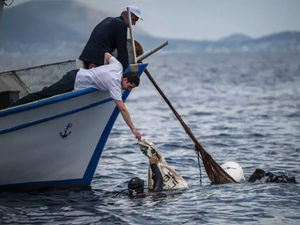 Grèce : dans les filets des pêcheurs, des sardines et beaucoup de plastique