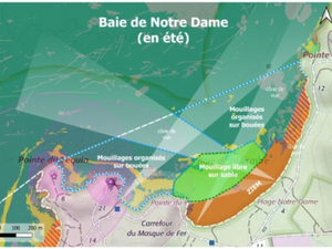 Porquerolles, vers une nouvelle organisation des mouillages