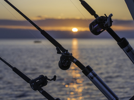 Nautisme Article