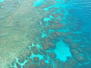 Grande barrière de corail: l'Australie investit pour la préservation, l'Unesco satisfaite