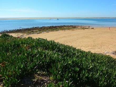 Parfaite pour une journée au calme, son sable fin offre un charme particulier bien loin de la foule. Parfaite pour une journée au calme, son sable fin offre un charme particulier bien loin de la foule.