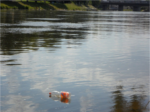 Le Bélénos, infatigable guérisseur des eaux de la Seine