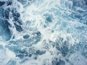 Le traité historique pour protéger la haute mer largue enfin les amarres