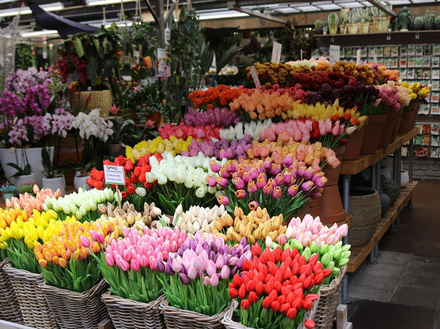 Le Bloemenmarkt, le marché aux fleurs flottant