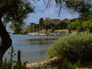 Sur le sentier sous-marin de Port-Cros, en compagnie des mérous