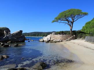Corse du Sud : sentier nature et snorkeling à...