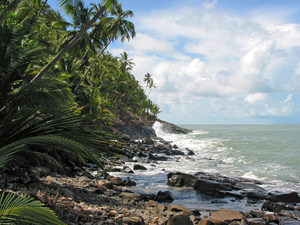 Les 5 expériences incontournables à faire en Guyane !