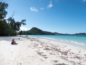Carte postale de nature brute aux Seychelles