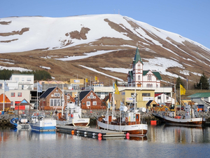 Découvrir l'Islande par la mer
