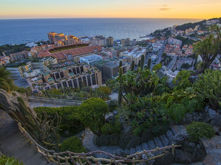 Le jardin exotique rassemble plus de 900 espèces de flore du climat semi-aride Le jardin exotique rassemble plus de 900 espèces de flore du climat semi-aride