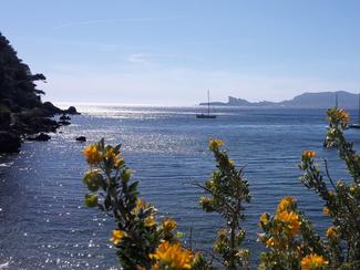 Canicule marine : pourquoi les températures de...