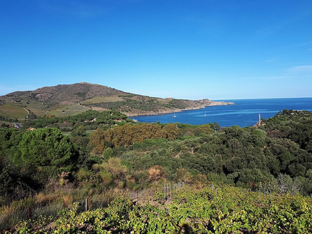 L'Anse de Paulilles L'Anse de Paulilles