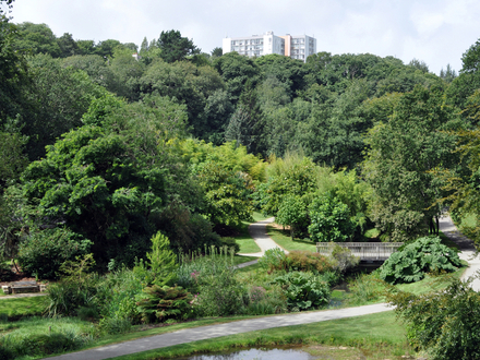 Jardin du Conservatoire Botanique National de Brest