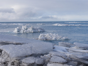  Après une fonte record, la banquise antarctique peine à se reformer