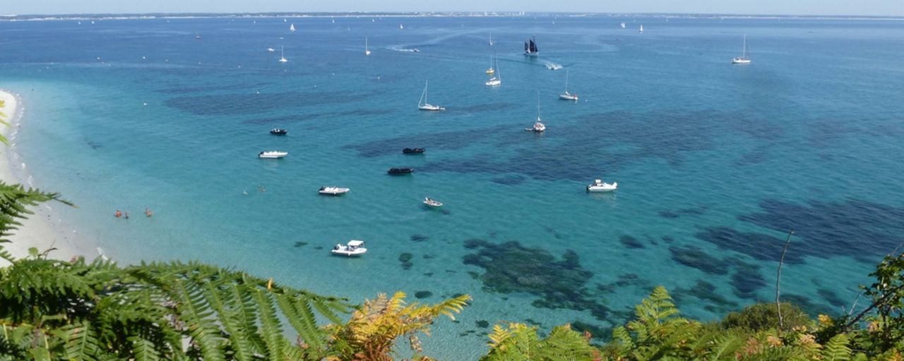 Groix. Une conteuse et un musicien vont faire revivre Merlin