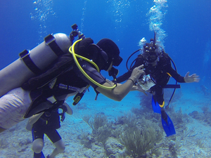 Concours photos et films 2024 du Salon International de la Plongée Sous-Marine