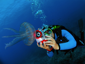 Réussir vos premières images sous-marines