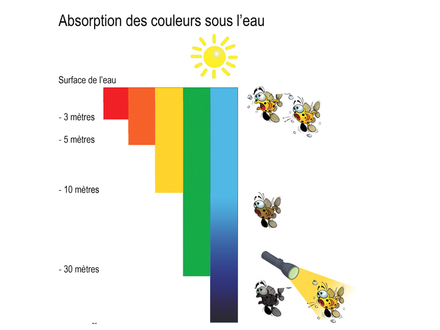 Nautisme Article