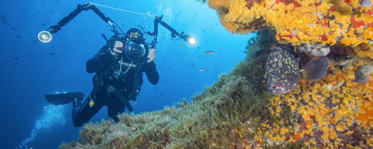 Quel appareil photo pour la plongée sous-marine en 2023 ?