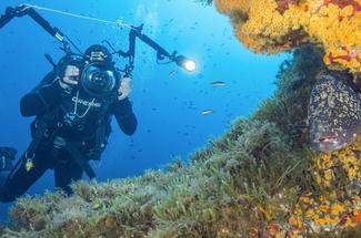 Quel matériel pour bien débuter la photo sous-marine ?
